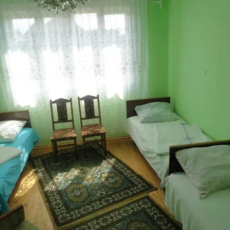 Pensionat Fodorik Solotvyno